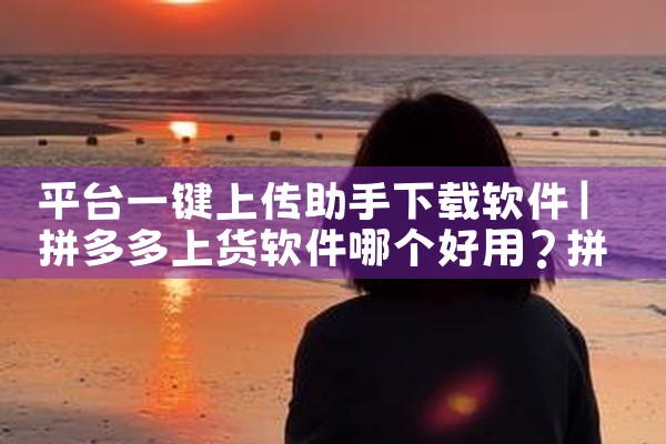 平台一键上传助手下载软件