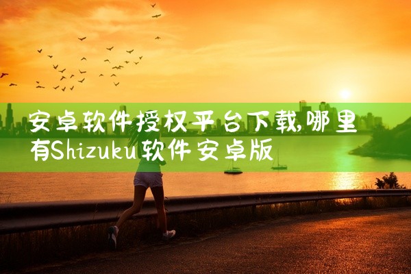 安卓软件授权平台下载
