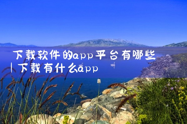 下载软件的app平台有哪些