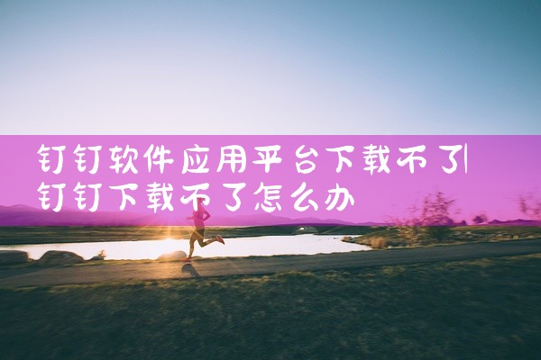 钉钉软件应用平台下载不了